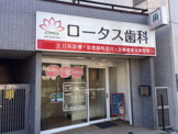 歯科 ロータス歯科