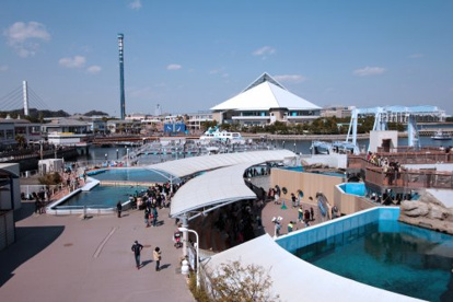 横浜・八景島シーパラダイスの画像1