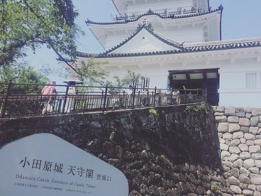 小田原城址公園の画像2