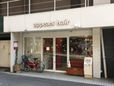 appears hair
