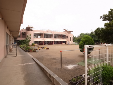 高洲幼稚園の画像2