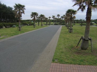 辻堂海浜公園の画像3