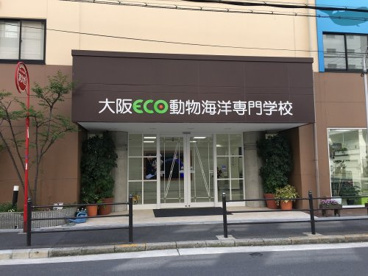大阪ECO動物海洋専門学校の画像1