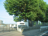 明治小学校