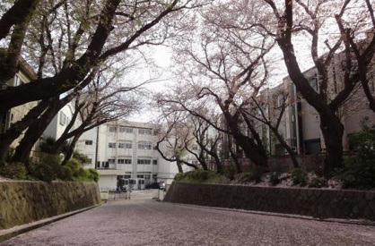 大越小学校の画像1