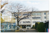 小出小学校