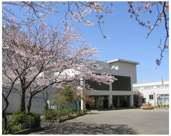 西鎌倉小学校の画像1