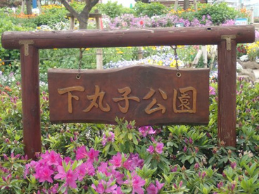 下丸子公園の画像3