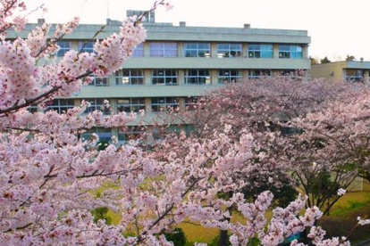 千葉市立源小学校の画像1