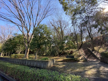 小糸台公園の画像1