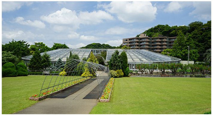 日比谷花壇大船フラワーセンターの画像1