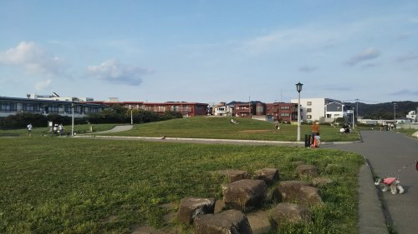 鎌倉海浜公園の画像3