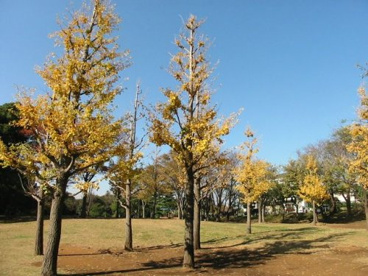 翠ヶ丘公園の画像2