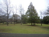 大庭城址公園