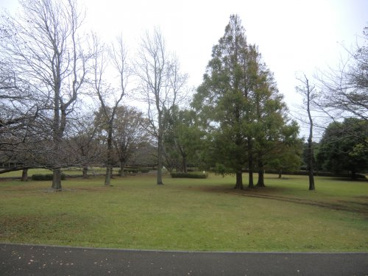 大庭城址公園の画像1