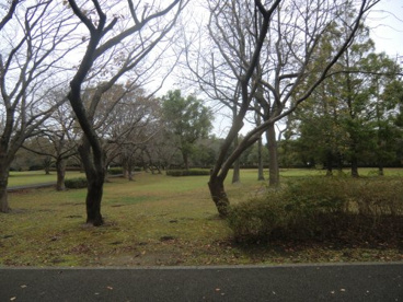 大庭城址公園の画像2