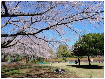大庭城址公園の画像3