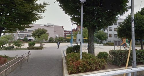 の画像