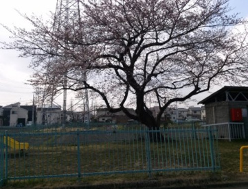 番匠屋敷公園の画像1