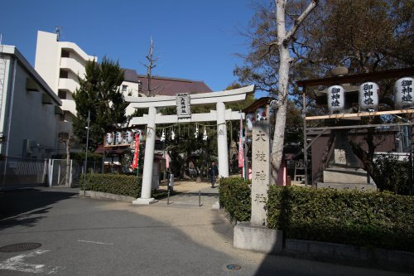 大枝神社の画像2