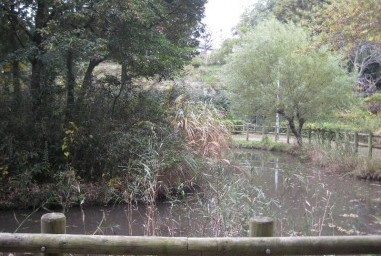 飯山満緑地公園の画像1