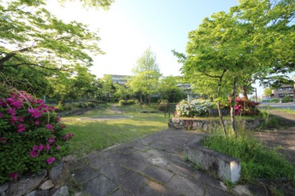 奥の野児童公園の画像1