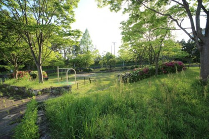 奥の野児童公園の画像3