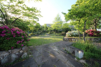 奥の野児童公園の画像4