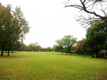 田園公園の画像1
