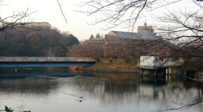 大蓮公園の画像1