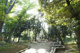 駒沢緑泉公園の画像