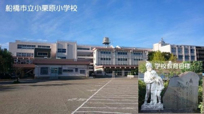船橋市立小栗原小学校の画像1