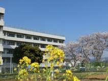 船橋市立大穴北小学校