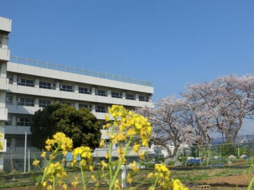 船橋市立大穴北小学校の画像1