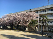 船橋市立古和釜中学校