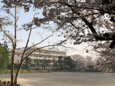 船橋市立高根小学校の画像1