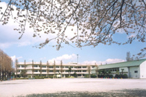船橋市立法典東小学校