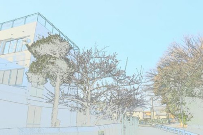 船橋市立旭中学校の画像1