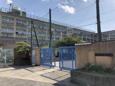 東大阪市立藤戸小学校の画像1