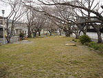 上野公園の画像1