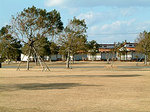 竜洋海洋公園オートキャンプ場の画像1