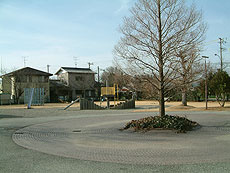 竜洋十束公園の画像