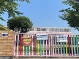 中幼稚園