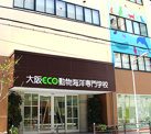 大阪ECO動物海洋専門学校