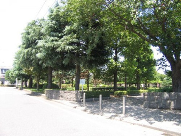 遠藤公園の画像1