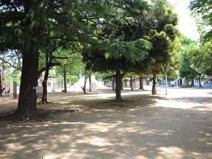 福岡中央公園