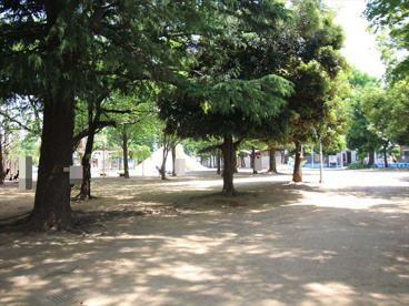 福岡中央公園の画像1