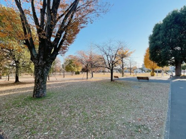福岡中央公園の画像2