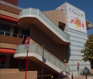 オオゼキ市川店の画像1