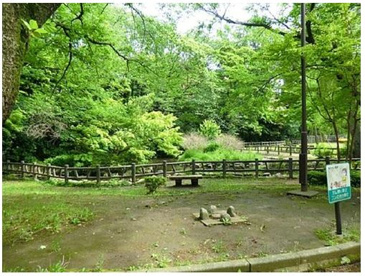御幣公園の画像2